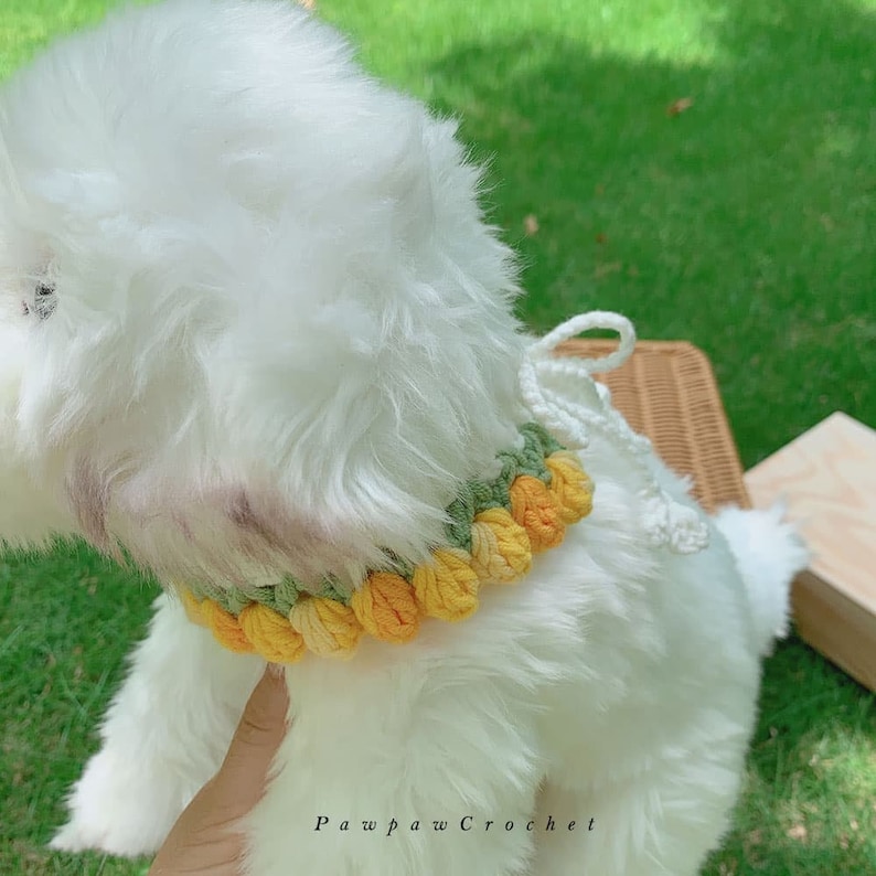 May include: A white fluffy dog wearing a crocheted yellow and green flower collar. The collar is made of yarn and has a bow tie at the back. The dog is sitting on a wicker basket.