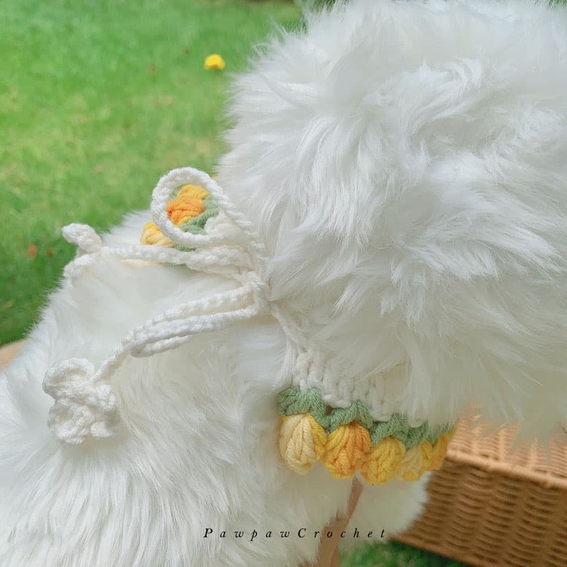 May include: A white crocheted dog collar with yellow and green flower accents. The collar is decorated with a white crocheted bow. The text "Pawpaw Crochet" is visible in the bottom right corner of the image.
