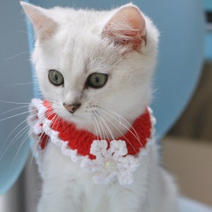 May include: A white cat with green eyes wearing a red and white crocheted collar. The collar features a snowflake design with a pearl accent. The cat is looking to the side, with a soft focus background.