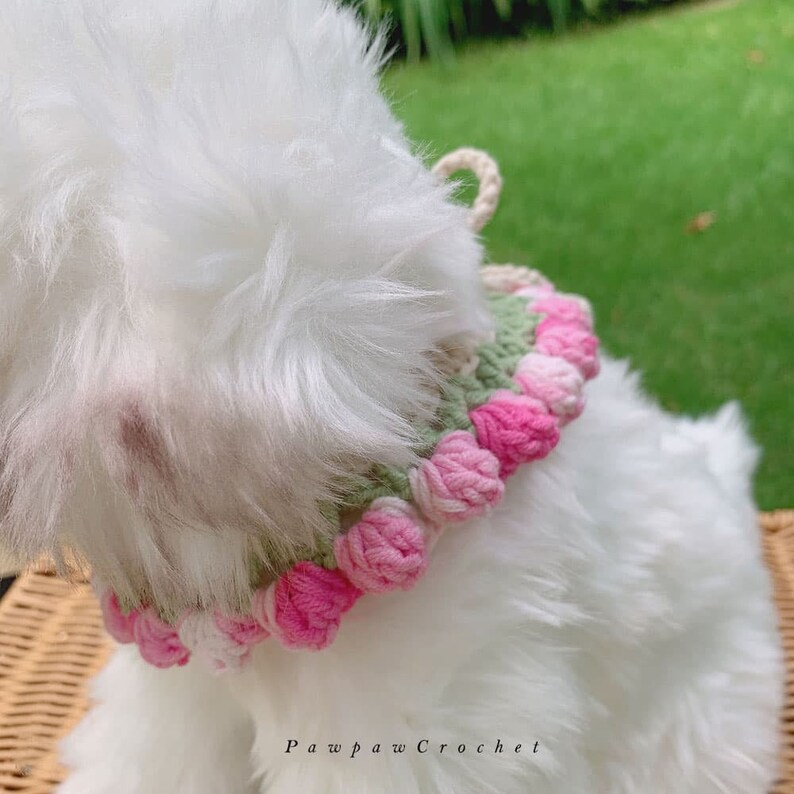 May include: A white dog wearing a crocheted pink and green flower collar. The collar has a light brown rope strap.