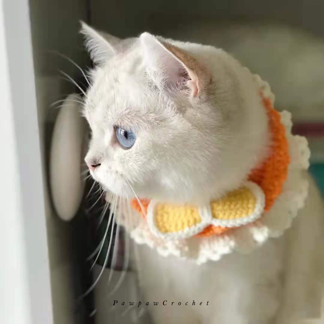 Adjustable Crochet Cat Collar with Big Bow Twolayer Pet Etsy
