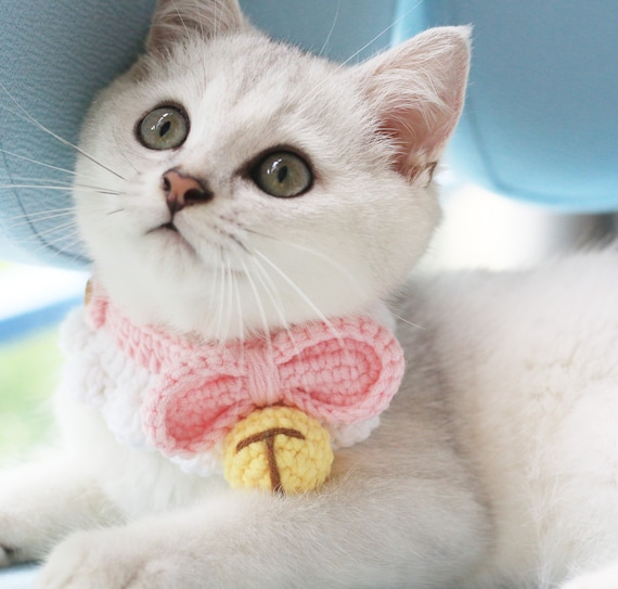 Crocheted Cat Collar With Bell Handmade Pet Collar Dog Collar Cute