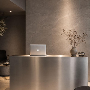 Può includere: Un computer portatile argentato con il logo Apple illuminato è posizionato su una scrivania rettangolare in metallo spazzolato. Accanto al portatile si trova un vaso in ceramica chiara con rami secchi e una piccola ciotola in vetro scuro.