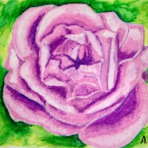 English Rose Original Painting Art Still Life Oil Pastel Painting on paper ArtWork  size 11 x 8 in (27 x 21cm) | Flower Painting |Home Decor
