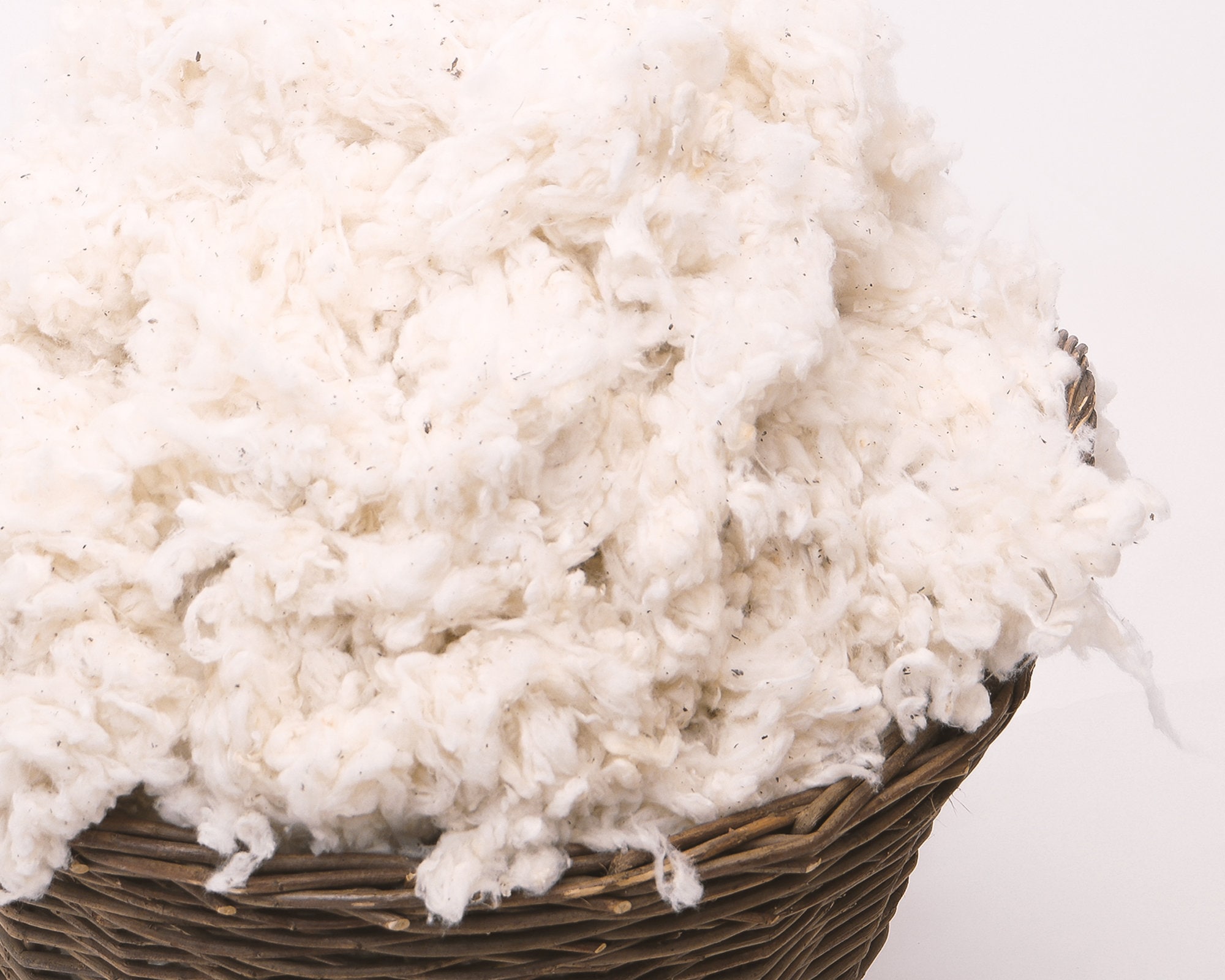 Imbottitura In Cotone Biologico Grezzo - Fibra Naturale Per Cuscini E Bambole (2lbs, Colore Bianco Naturale) - Foto 11