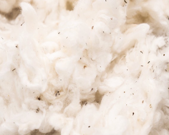 100% Organic Cotton Filling GOTS Certified Natural Stuffing Perfect for DIY  Projects, Stuffing Dolls, Pillows, Cushions by the Pound 