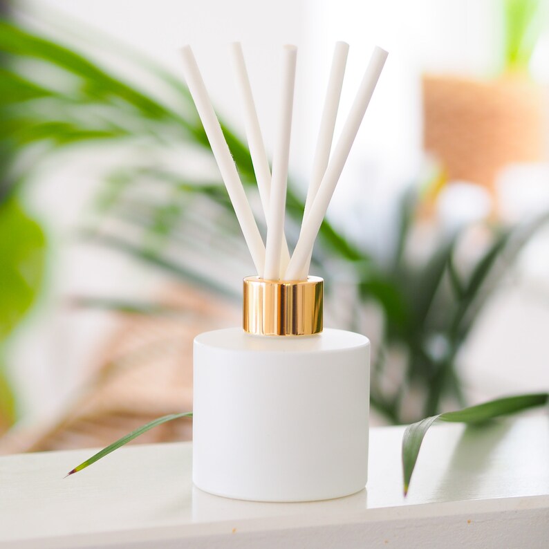 Matt White Glass Diffuser Bottle and Reeds Choice of Neck Etsy UK