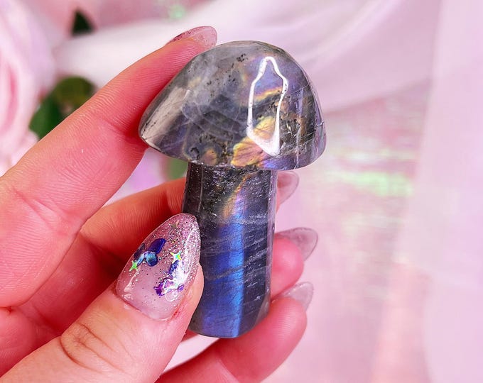 fairy forest labradorite mushie (e)