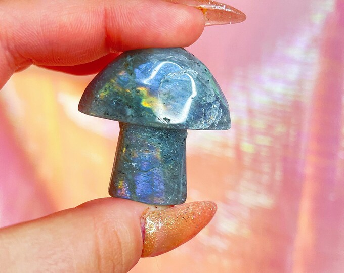 fairy forest labradorite mushie (bb)