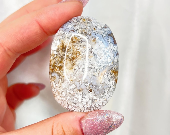 crazy lace agate / mexican agate palm - (at)