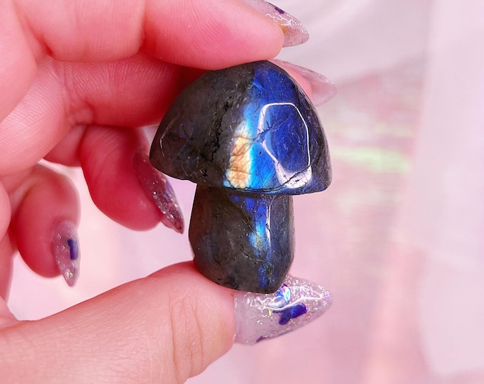 fairy forest labradorite mushie (b)