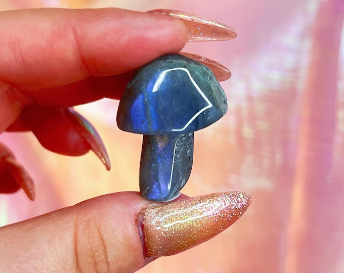 fairy forest labradorite mushie (ii)
