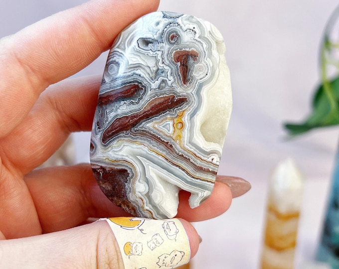 crazy lace agate / mexican agate palm