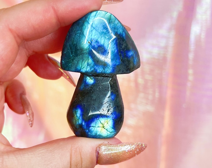 fairy forest labradorite mushie (kk)