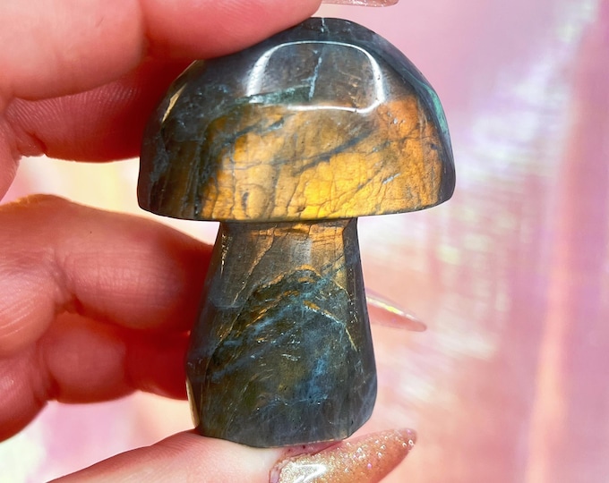 fairy forest labradorite mushie (ee)