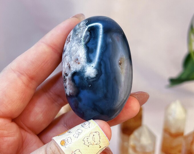 blue flower agate palm