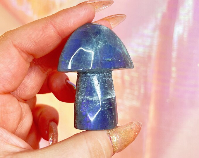 fairy forest labradorite mushie (gg)