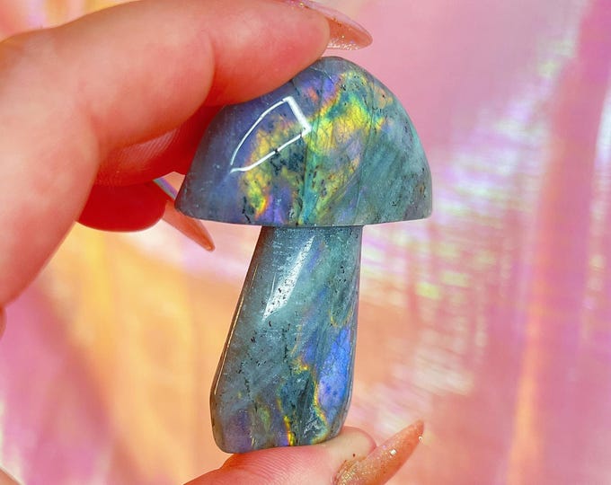 fairy forest labradorite mushie (cc)