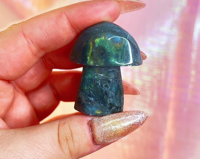 fairy forest labradorite mushie (aa)