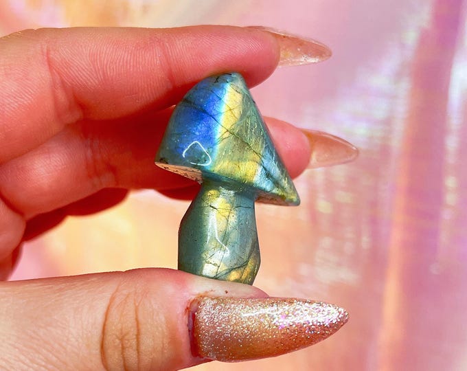 fairy forest labradorite mushie (jj)