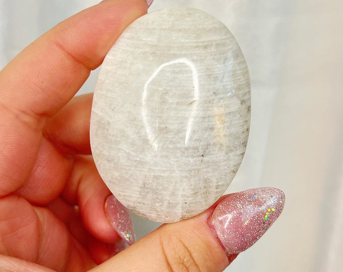 rainbow moonstone palm - golden champagne white flash (n)