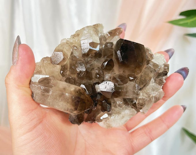 smoky quartz cluster - grounding, glassy sheen  (c11)