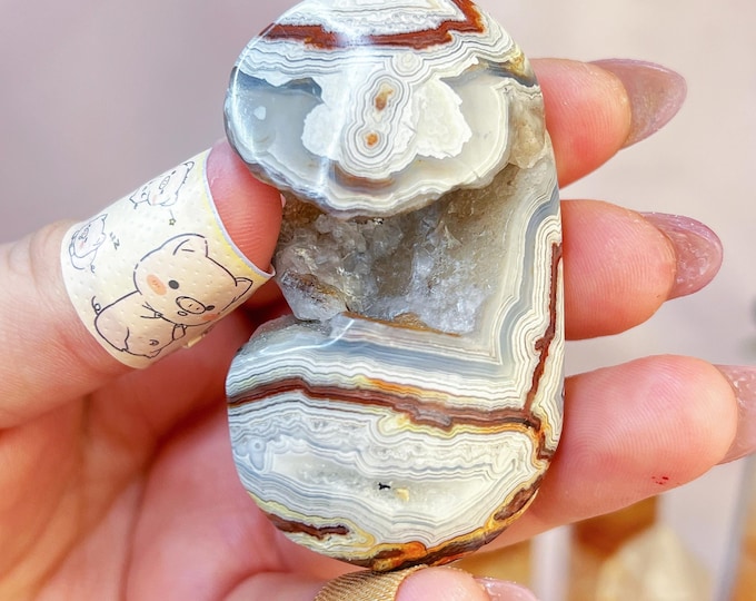 crazy lace agate / mexican agate palm