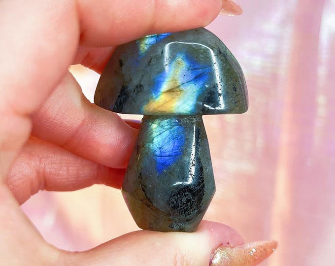 fairy forest labradorite mushie (mm)