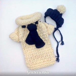 Dog sweater and hat. Sweater for dog. Free shipping