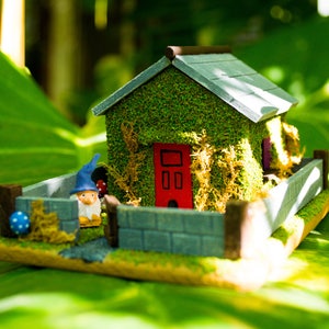 May include: A miniature green and brown house with a red door and a small blue gnome figurine standing in front of it. The house is surrounded by a gray stone fence and green grass.