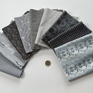 Può includere: Una collezione di campioni di tessuto grigio disposti a semicerchio. I tessuti presentano vari motivi, tra cui pois, linee, forme geometriche e disegni floreali. Una moneta è visibile al centro. Ideale per progetti di quilting o artigianato.