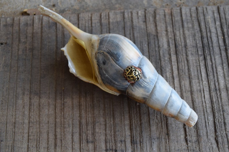 Natural Pipe With Lion Chillum Pipe Shell Pipe Tobacco Smoking Beach Shell Pipe Beach Pipe