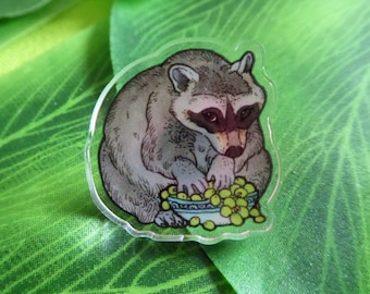 May include: A clear acrylic pin featuring a cartoon raccoon eating green grapes from a blue and white bowl. The raccoon is sitting on its haunches and has a brown and gray fur pattern.