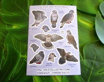 A6 British Pigeons Sticker Sheet