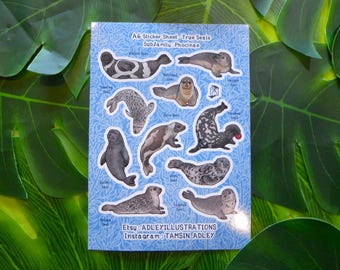 A6 Earless Seals Sticker Sheet