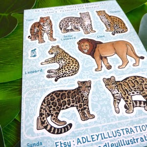 Hoja de pegatinas de grandes felinos A6 imagen 2