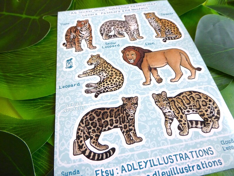 Hoja de pegatinas de grandes felinos A6 imagen 2