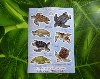 A6 Sea Turtles species Sticker Sheet
