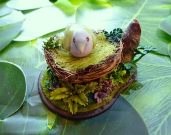 Hand Made Pink-Necked Green Pigeon Diorama