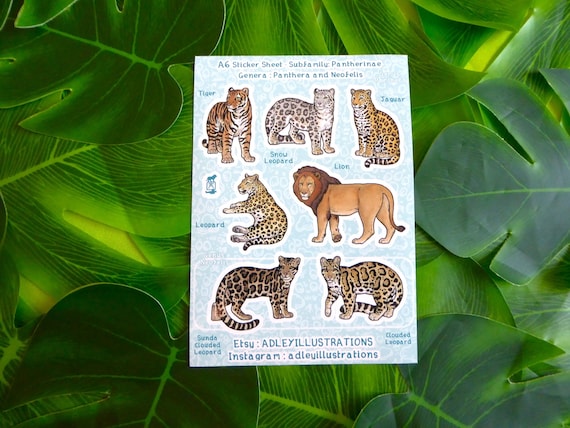 A6 Big Cats Sticker Sheet