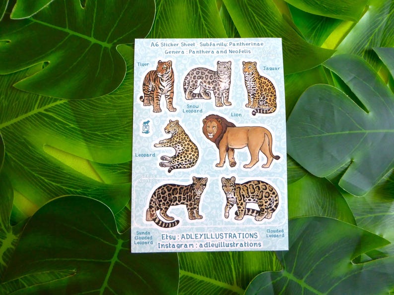 Hoja de pegatinas de grandes felinos A6 imagen 1