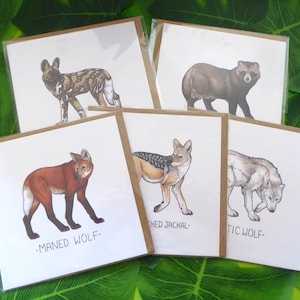 Cartes de voeux illustrées - Set de dessins de chiens sauvages