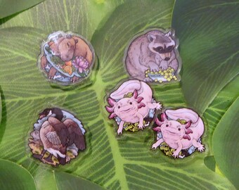 May include: Five colorful resin stickers featuring different animals. The stickers are round and have a glossy finish. The animals include a capybara, a raccoon, two axolotls, and a goose.