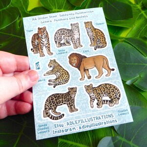 Hoja de pegatinas de grandes felinos A6 imagen 3