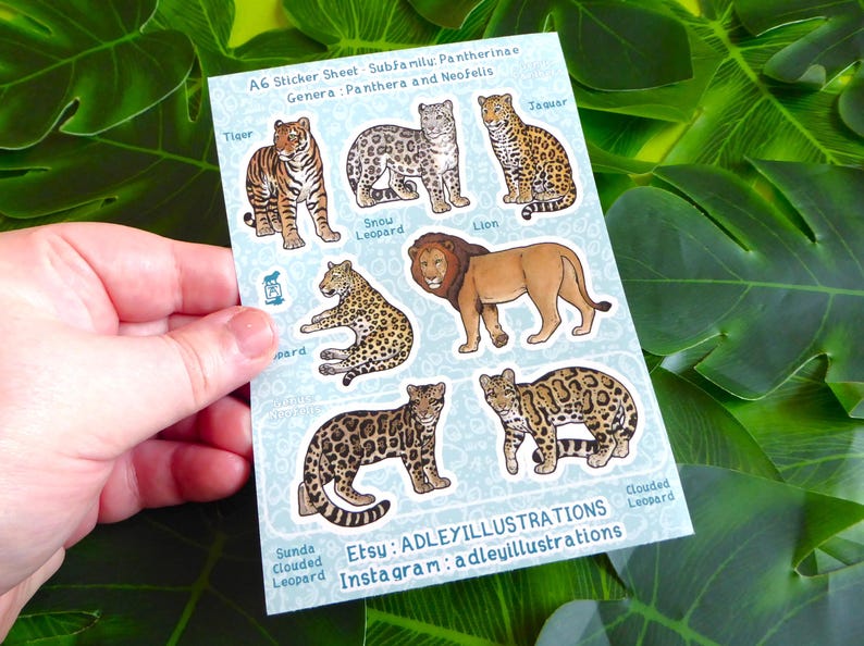 Hoja de pegatinas de grandes felinos A6 imagen 3