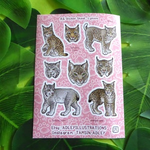 A6 Lynx types Sticker Sheet