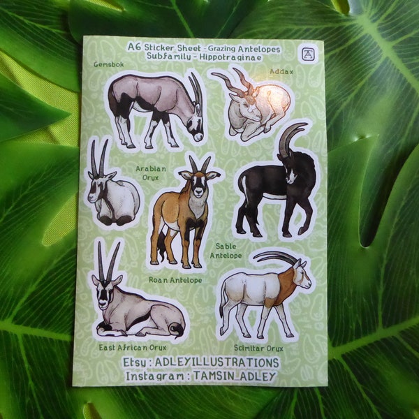 A6 Grazing Antelopes Sticker Sheet