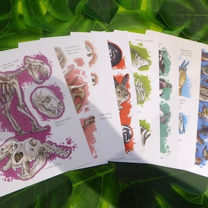 Any 3 A5 prints deal