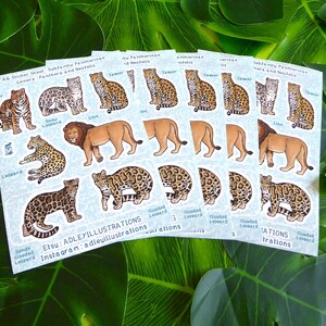 Hoja de pegatinas de grandes felinos A6 imagen 4