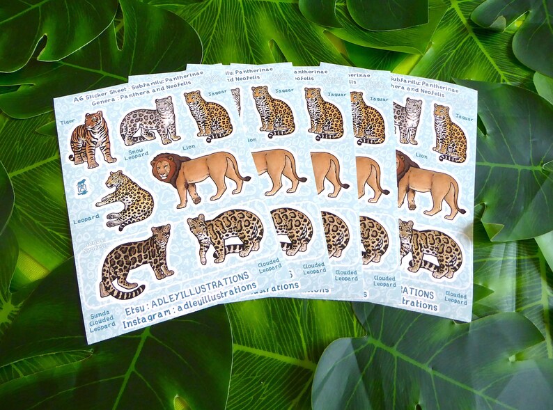 Hoja de pegatinas de grandes felinos A6 imagen 4